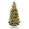 9ft. Pre-Lit Natural Fraser Fir Artificial Christmas Tree, Clear Lights